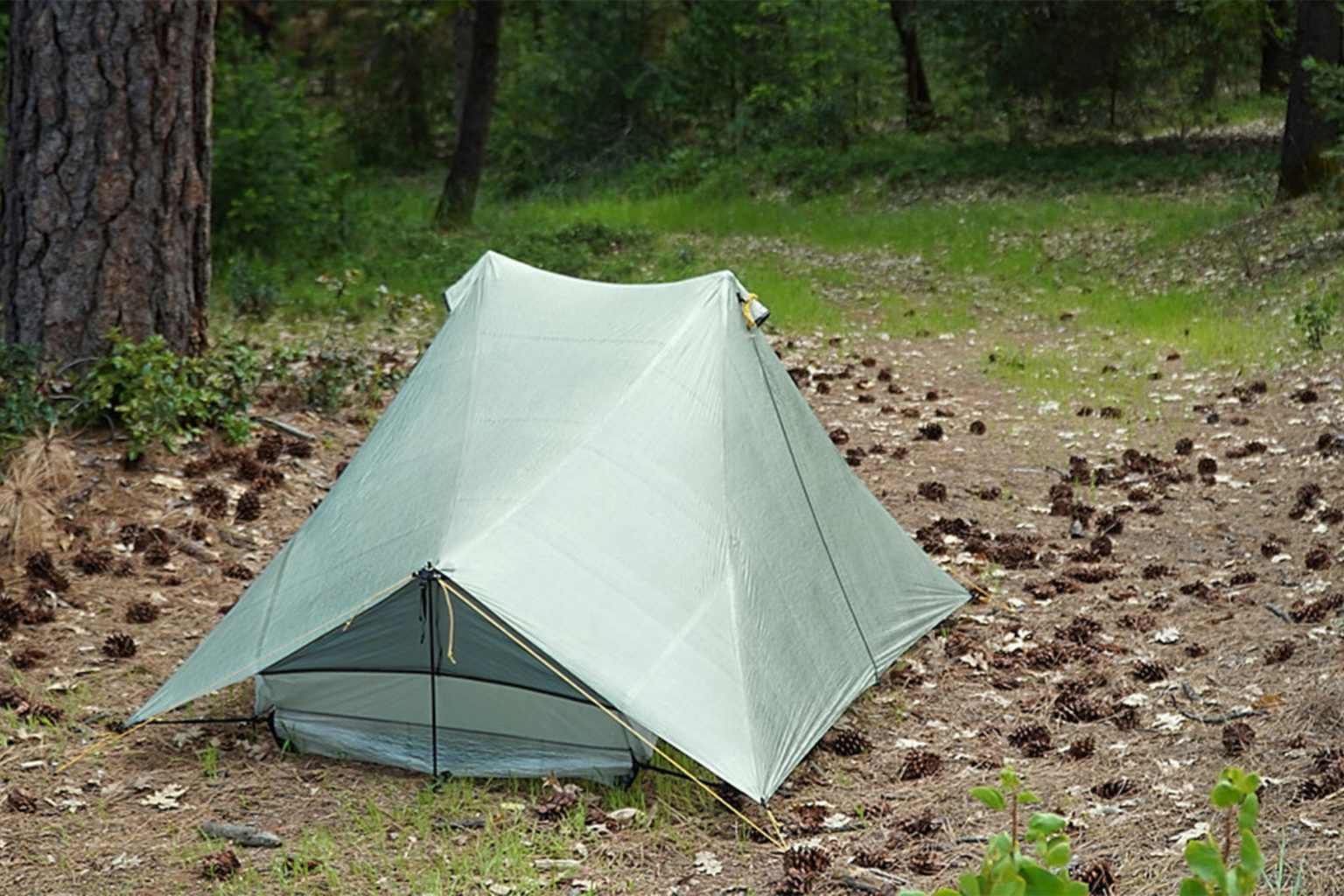 Friday Debrief: Tarptent Dipole, Z Cage, Crossing Tasmania, and More ...