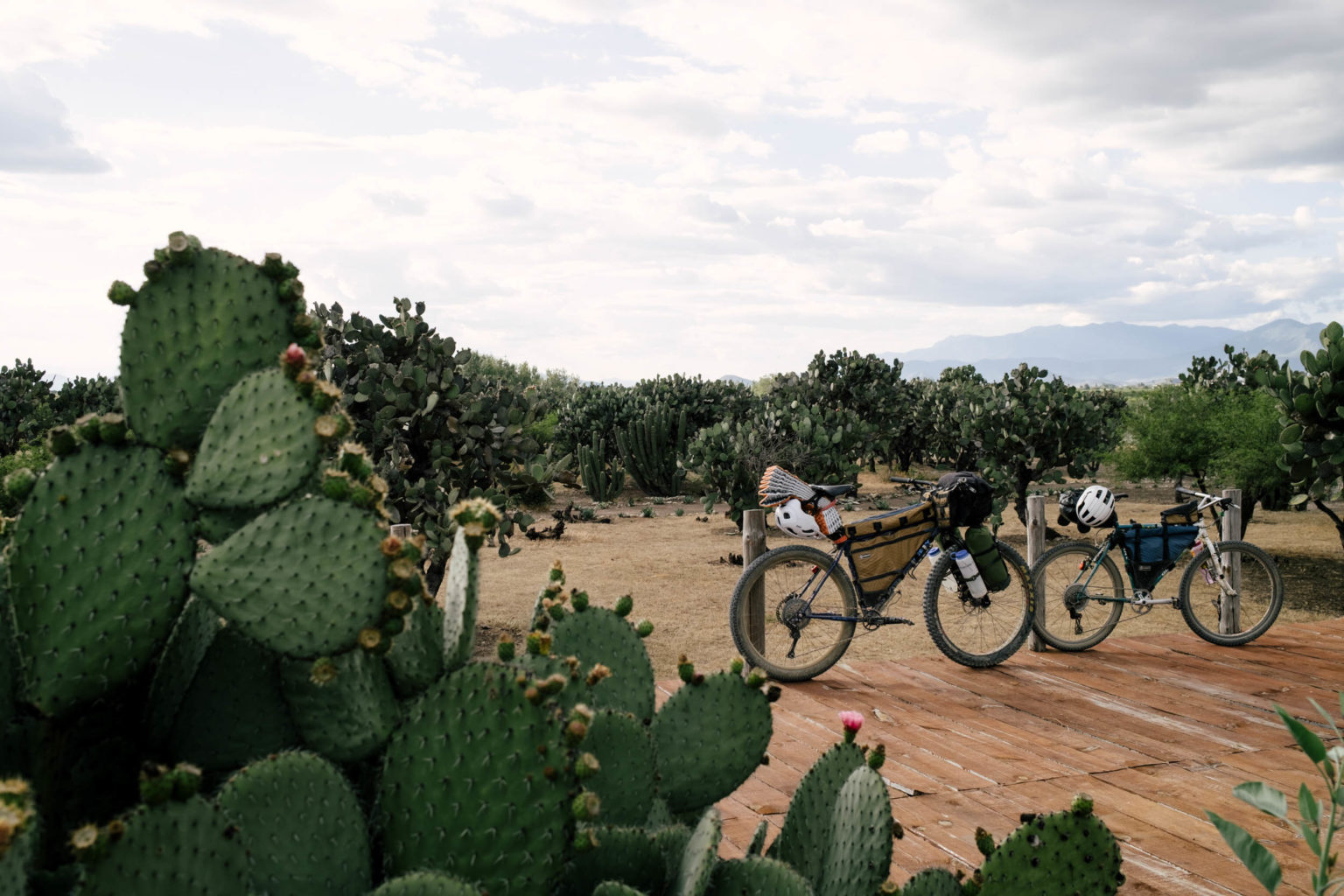 bikepacking mexico