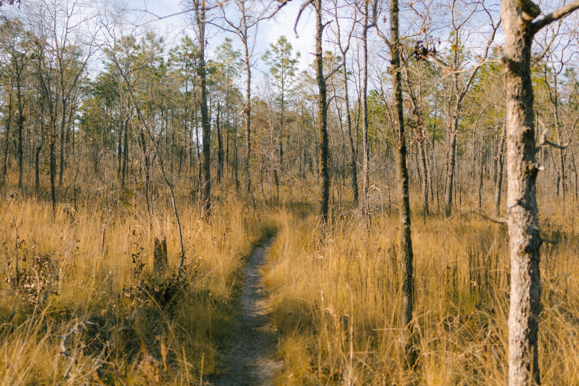 An Unlikely Rider's 2023 HuRaCaN 300 Journey