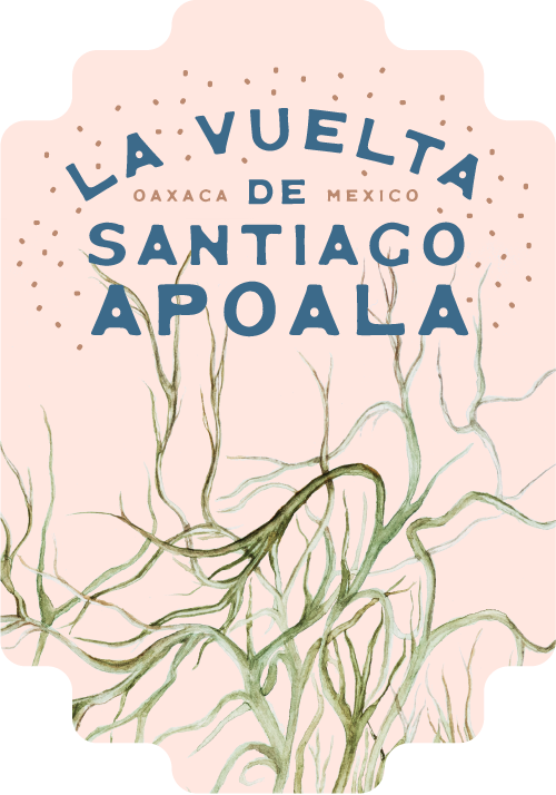 La Vuelta de Santiago Apoala