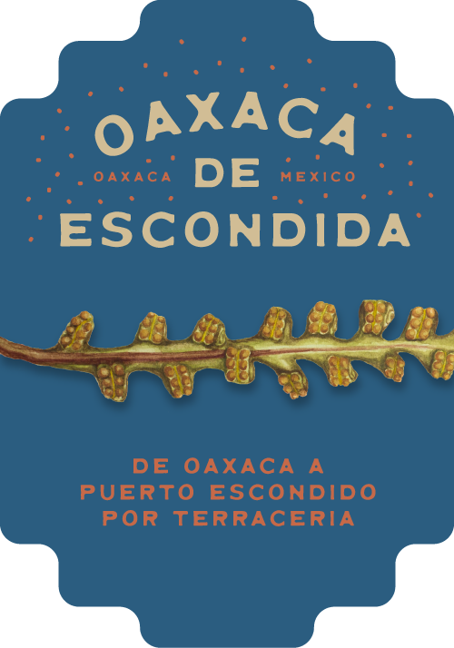 Oaxaca Bikepacking Routes, Puerto Escondido