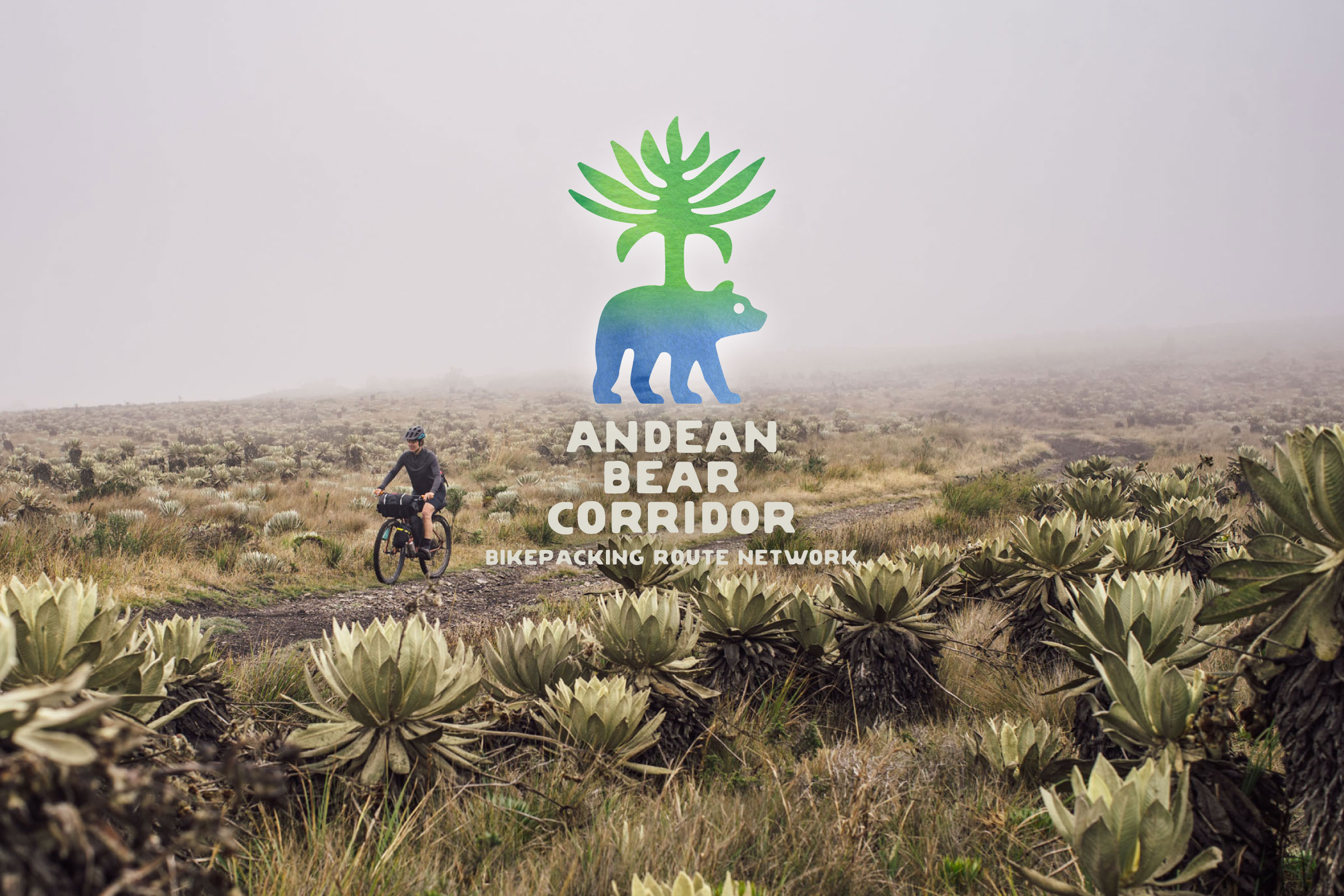 Andean Bear Corridor