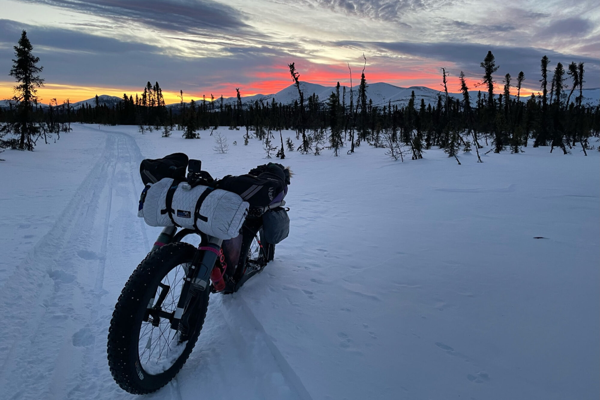 miron 2023 Iditarod trail