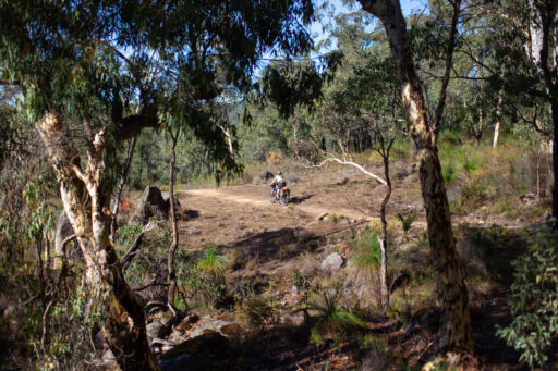munda biddi trail, bikepacking australia