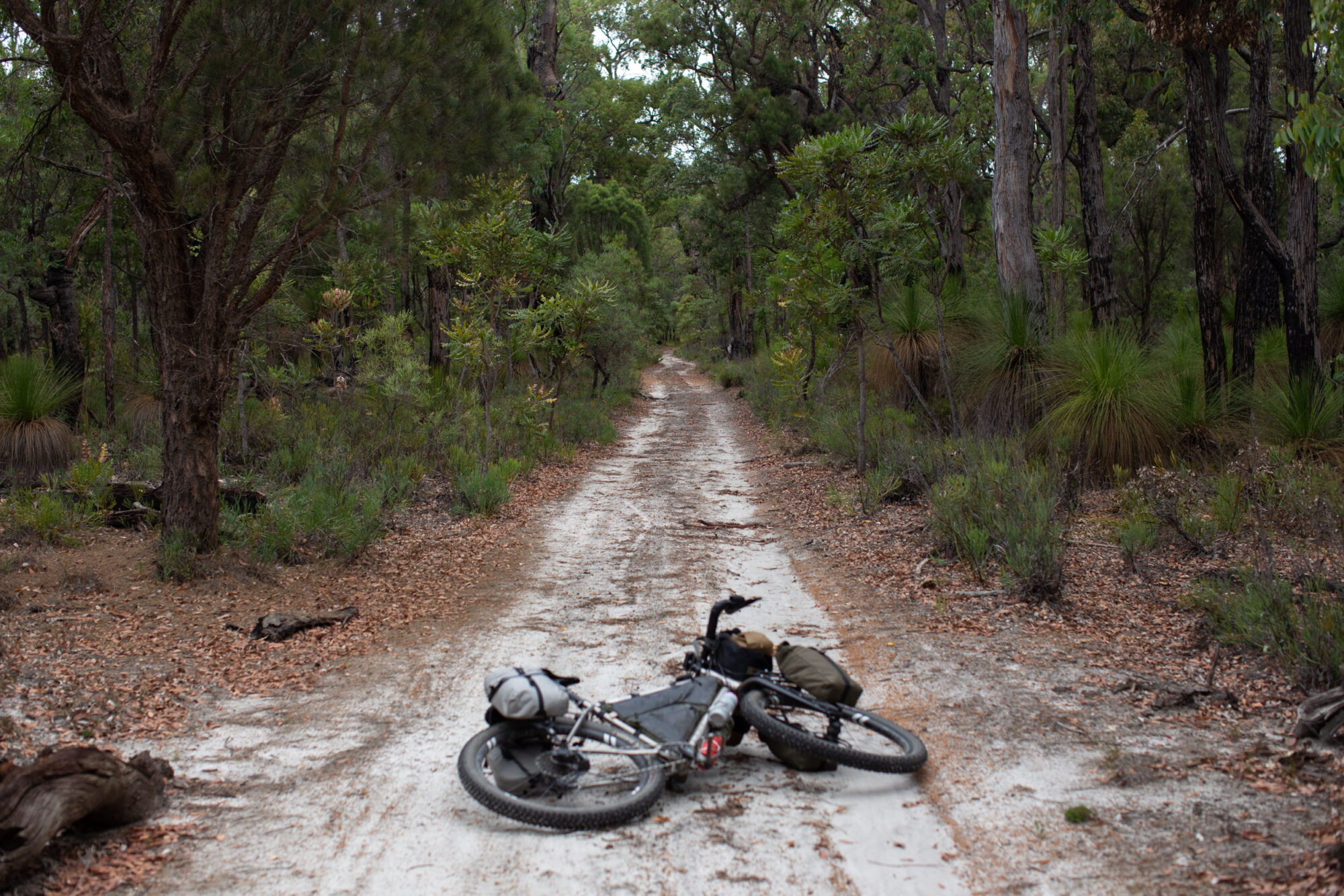 munda biddi trail, bikepacking australia