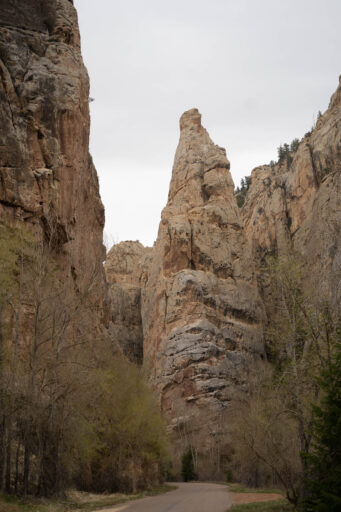 Cattle Calls and Canyon Walls