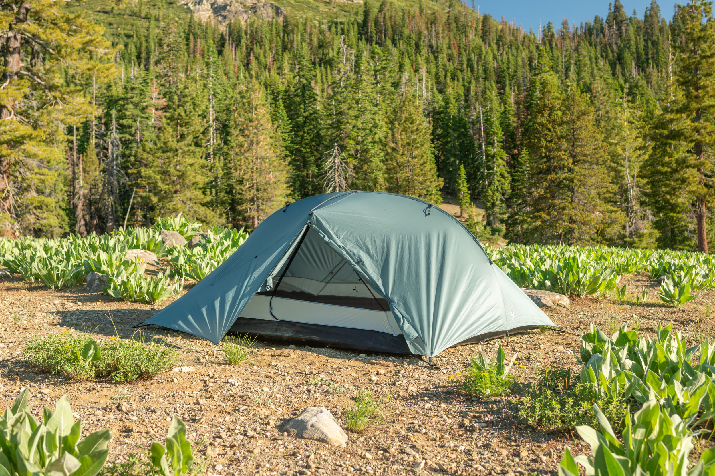 Tarptent Triple Rainbow DW Announced - BIKEPACKING.com