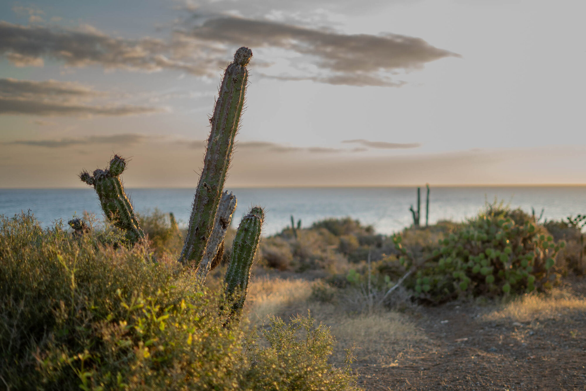 Bikepacking La Guajira Desert