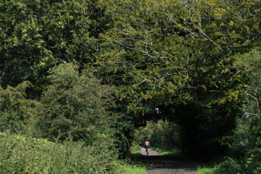 Woods Rat Run bikepacking route, England