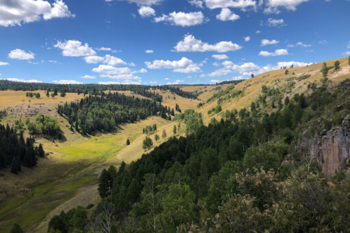 2023 new colo recap