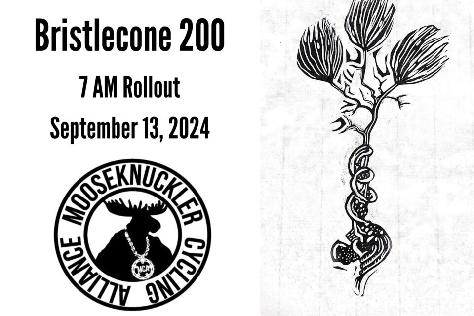 Bristlecone 200 (2024)