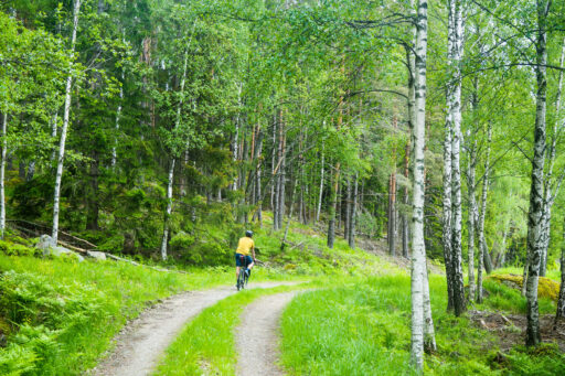 Sormland Project Bikepacking Route, Sweden