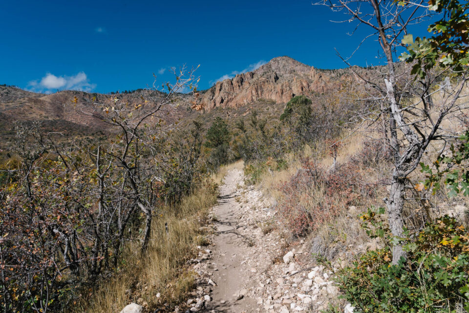 2023 Arizona Trail Race