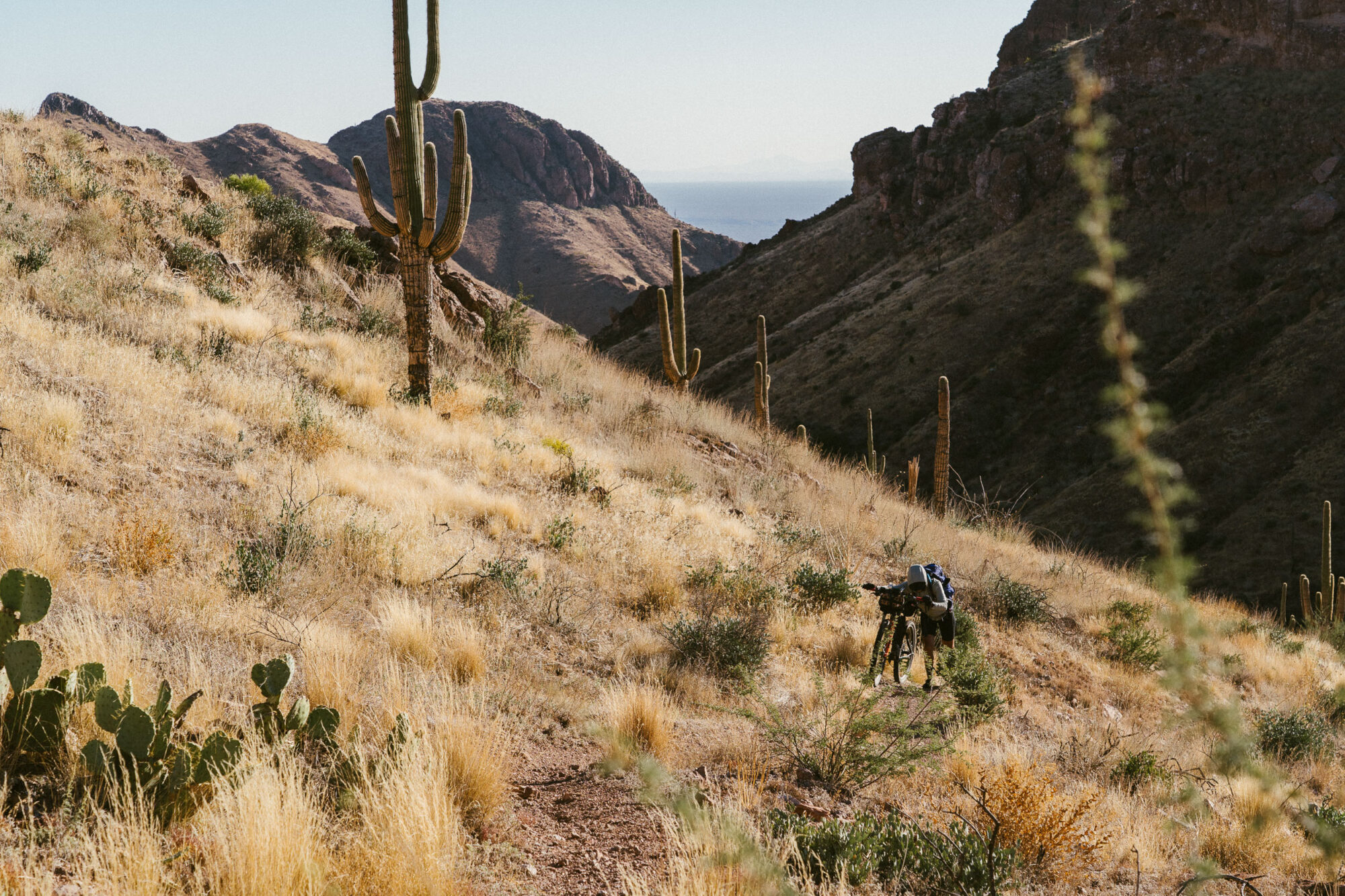 2023 Arizona Trail Race Update One