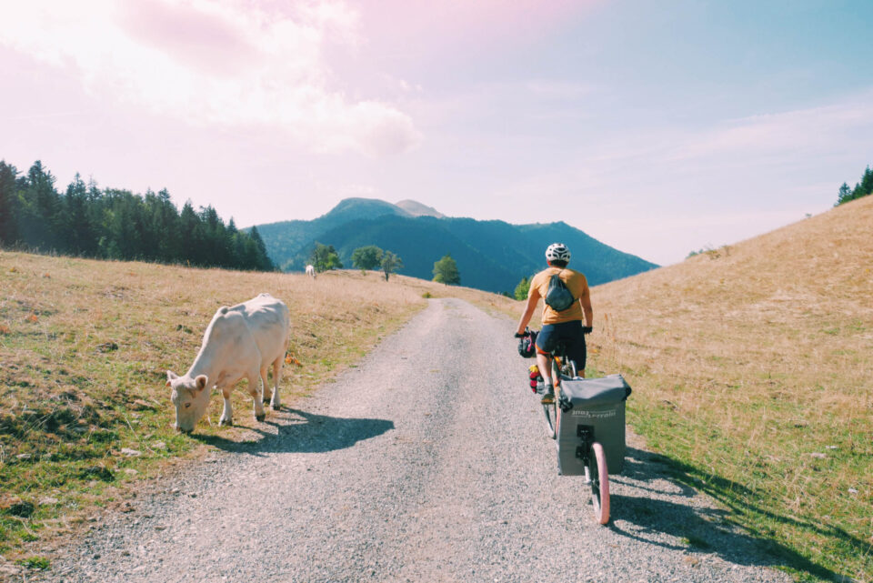 On Five Wheels: Family Bikepacking in the Jura