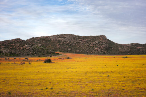 SAND Segment 2, Namaqualand