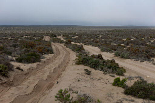 SAND Segment 2, Namaqualand