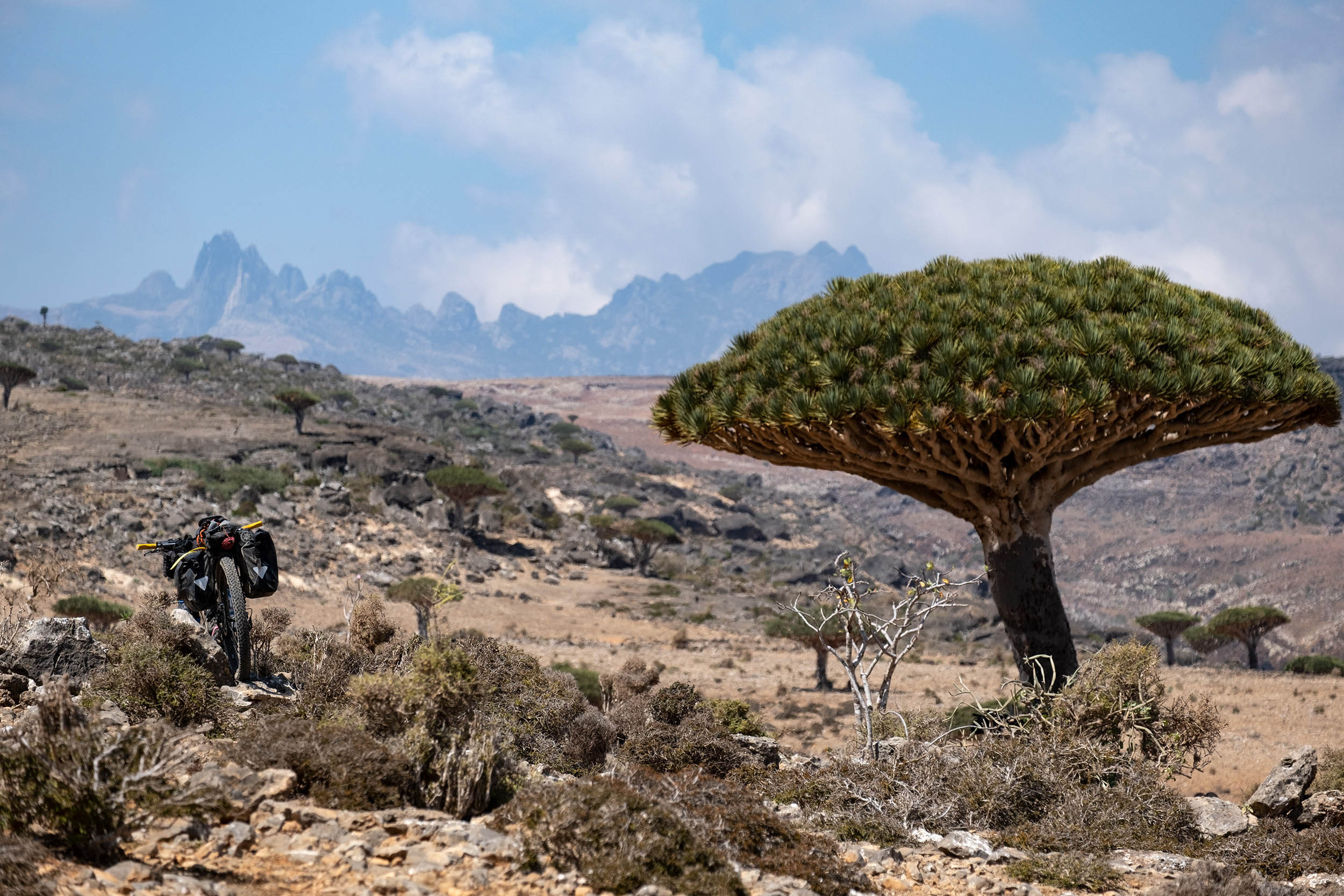 Dragon Blood, Socotra Bikepacking Route