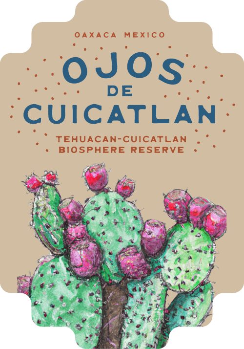 Oaxaca Bikepacking Routes, Ojos de Cuicatlan