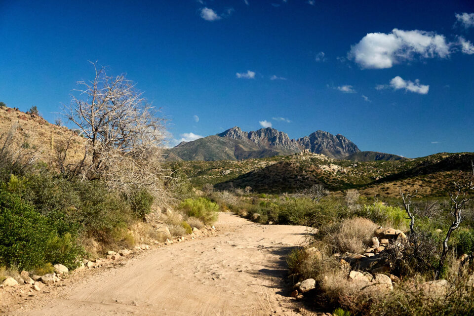 Arizona Trail 800