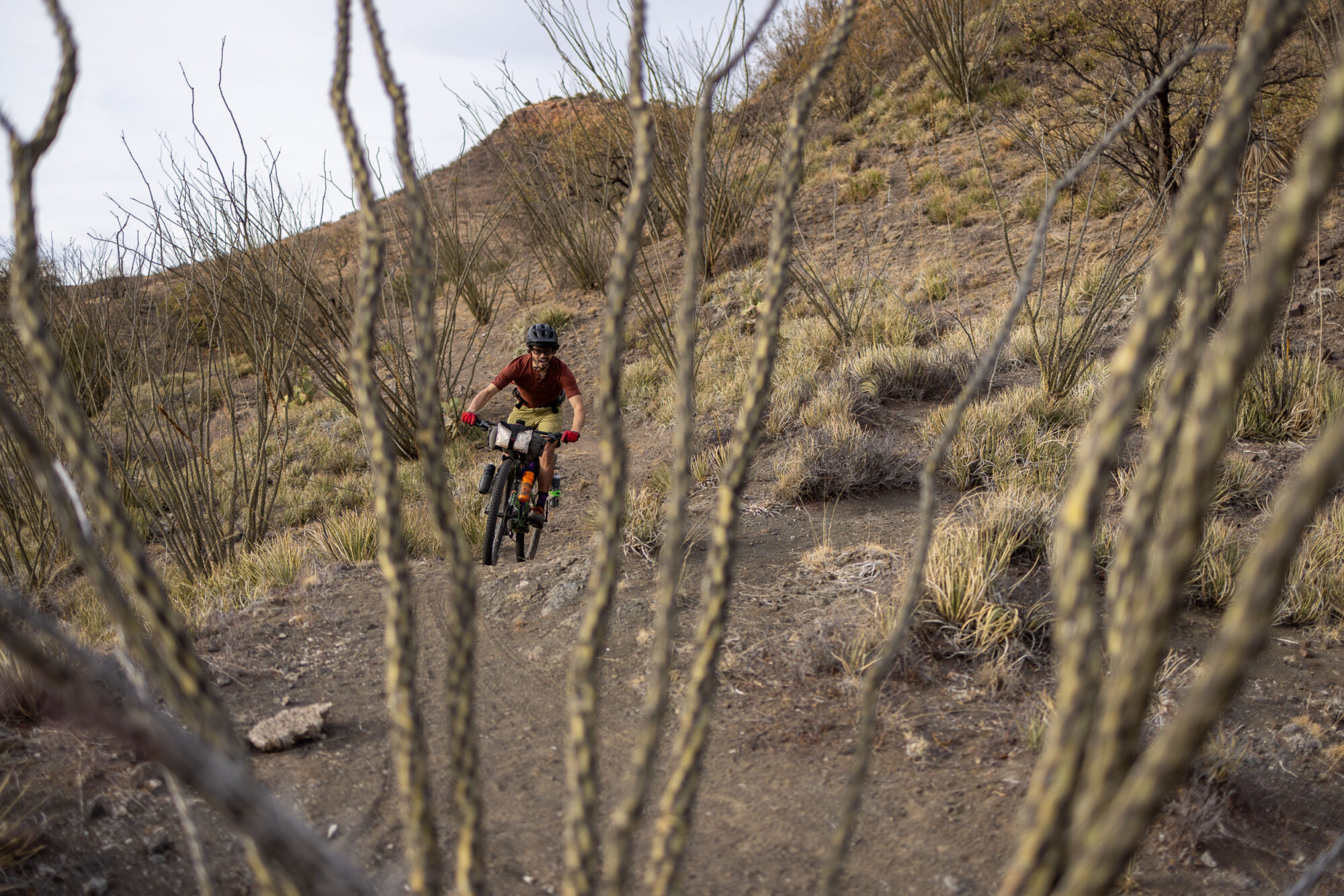 Madrean Rugged Ramble, Arizona