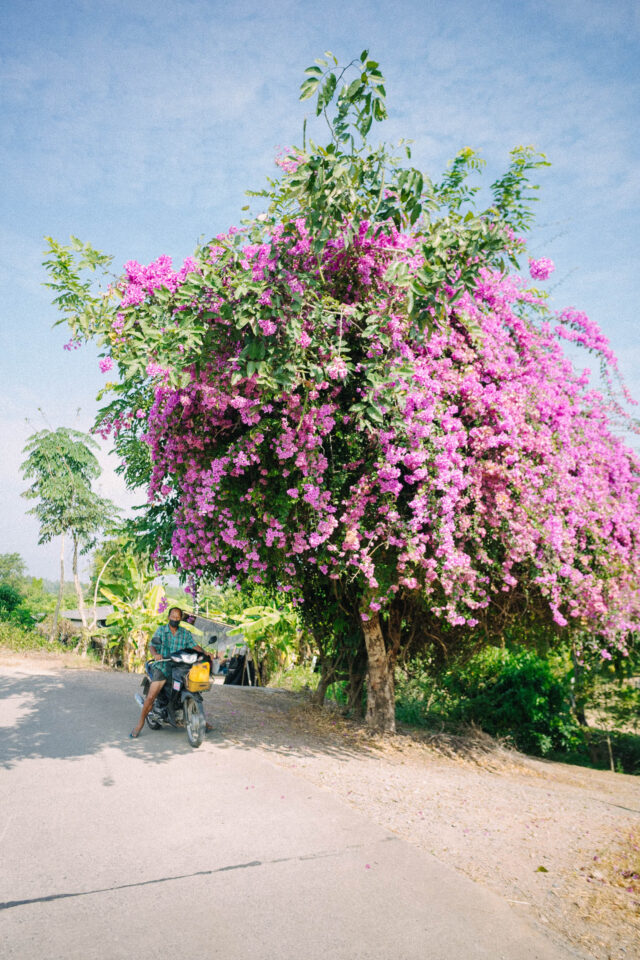Bikepacking Thailand, The Lanna Kingdom