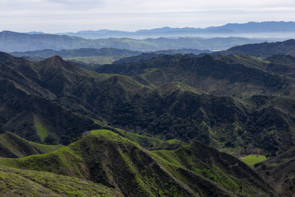 How Would Rescinding the Roadless Rule Affect the National Forests That Matter to You?