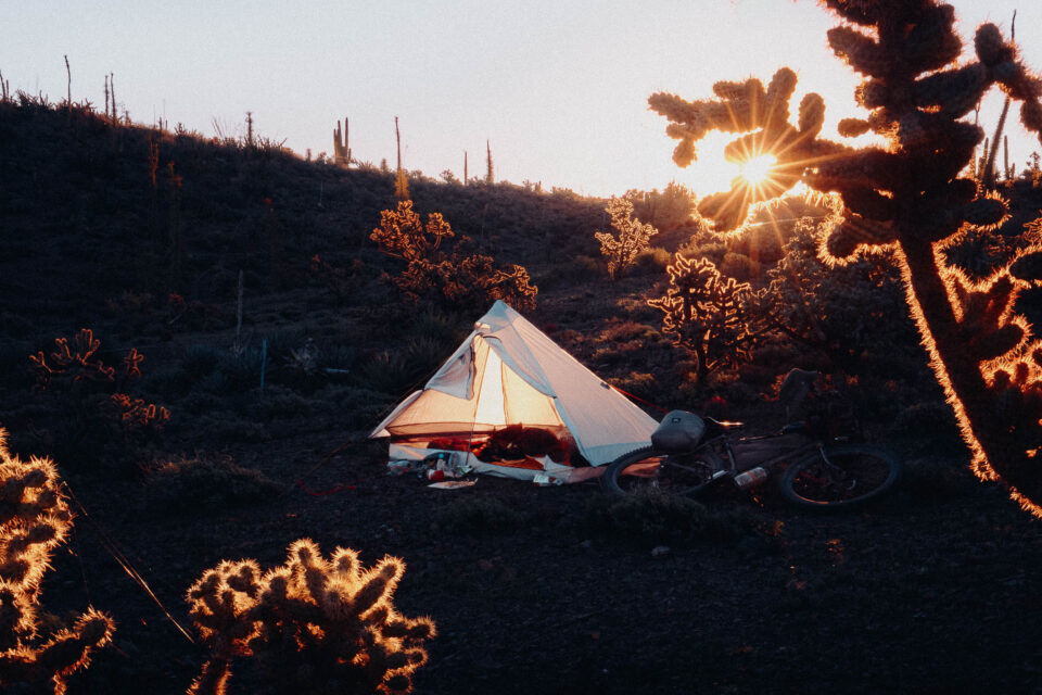 Ten Resources for Planning the Perfect Swift Campout
