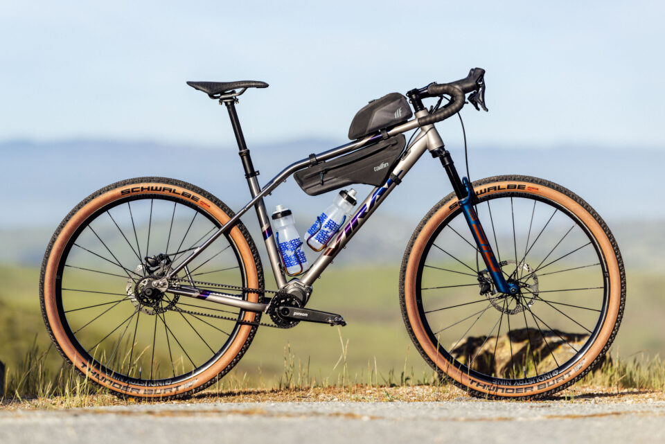 First Look at the Viral Wanderer (Sea Otter 2024)