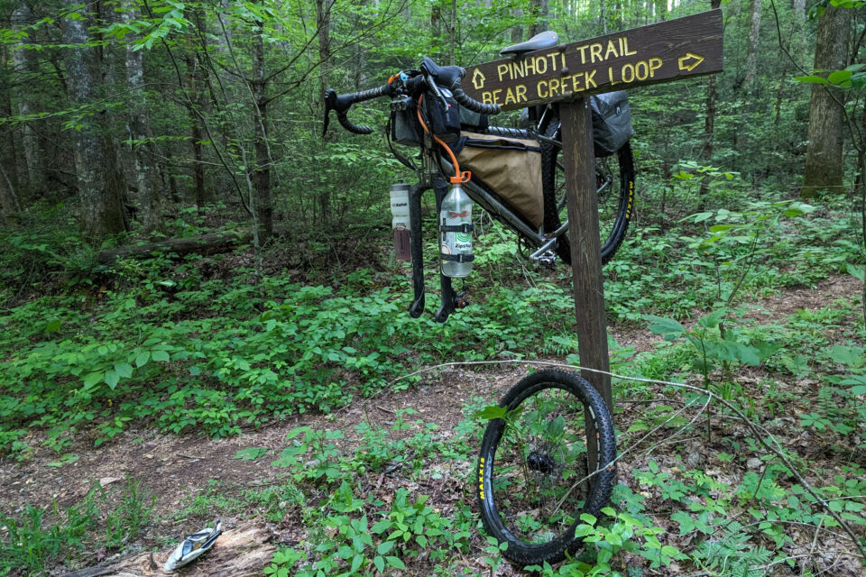 Thunderstorms and Downed Trees at the 2024 Three Rivers Way