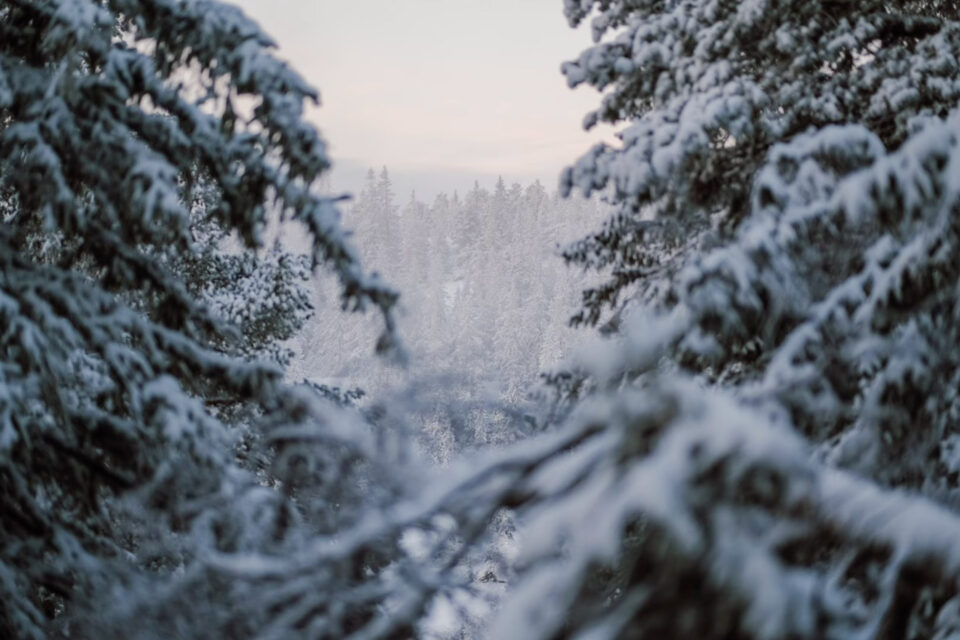 Bikepacking and Snowshoeing to the Wildest Place video