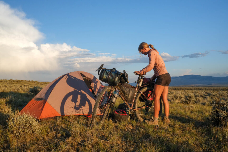 A Woman Who Left Society to Live With Bears Weighs in on “Man or Bear”