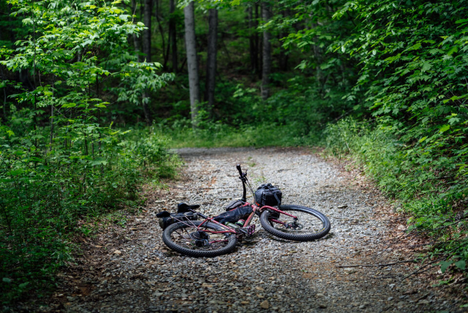 Blackburn Grid Front Basket Rack Review