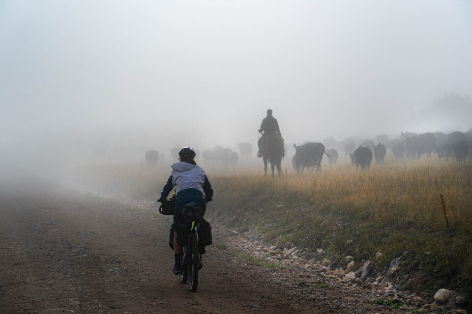 Cycle Therapy