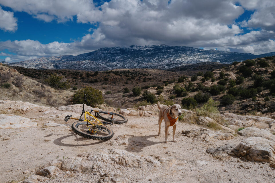 Sklar Hardtail, John Montesi