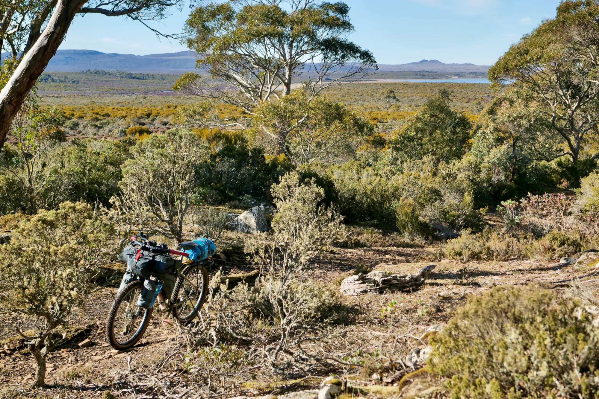 Taking the Slow Track, Solo Bikepacking Tasmania, Mick Turnbull