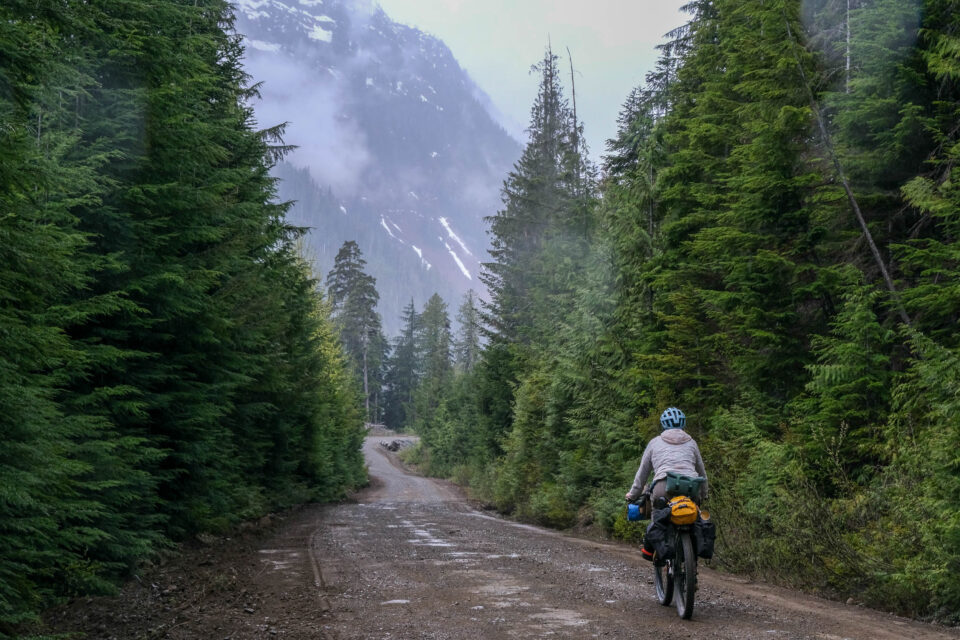 Tree to Sea Loop