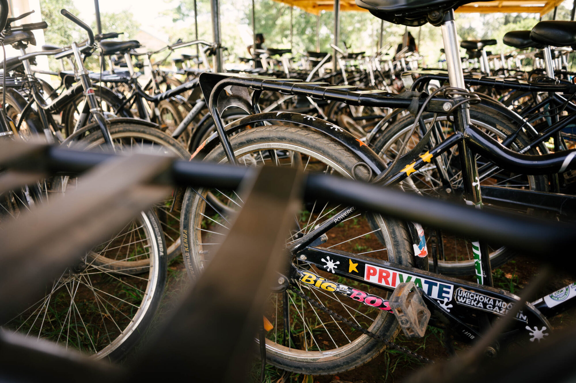 World Bicycle Relief, Buffalo Bike