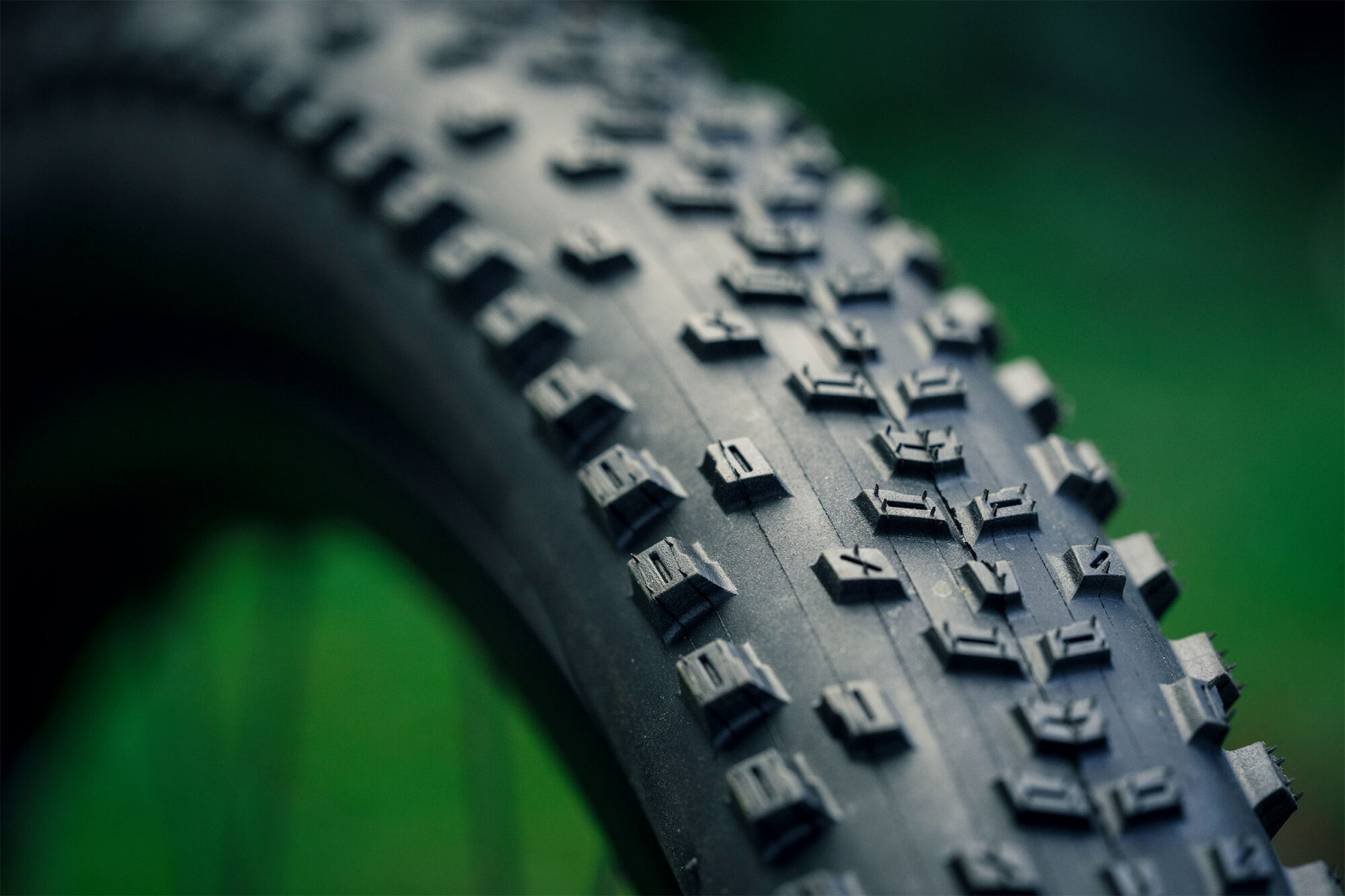 New WTB Macro Tire - BIKEPACKING.com