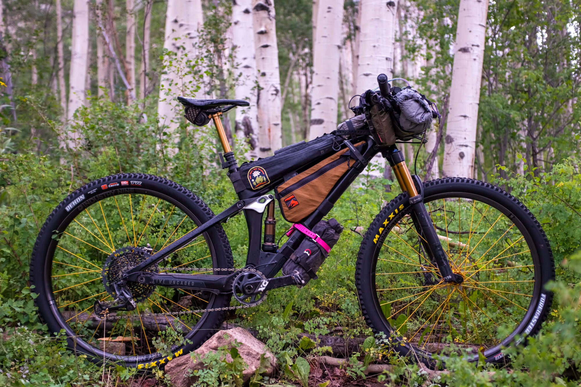 2024 Colorado Trail Race Rigs