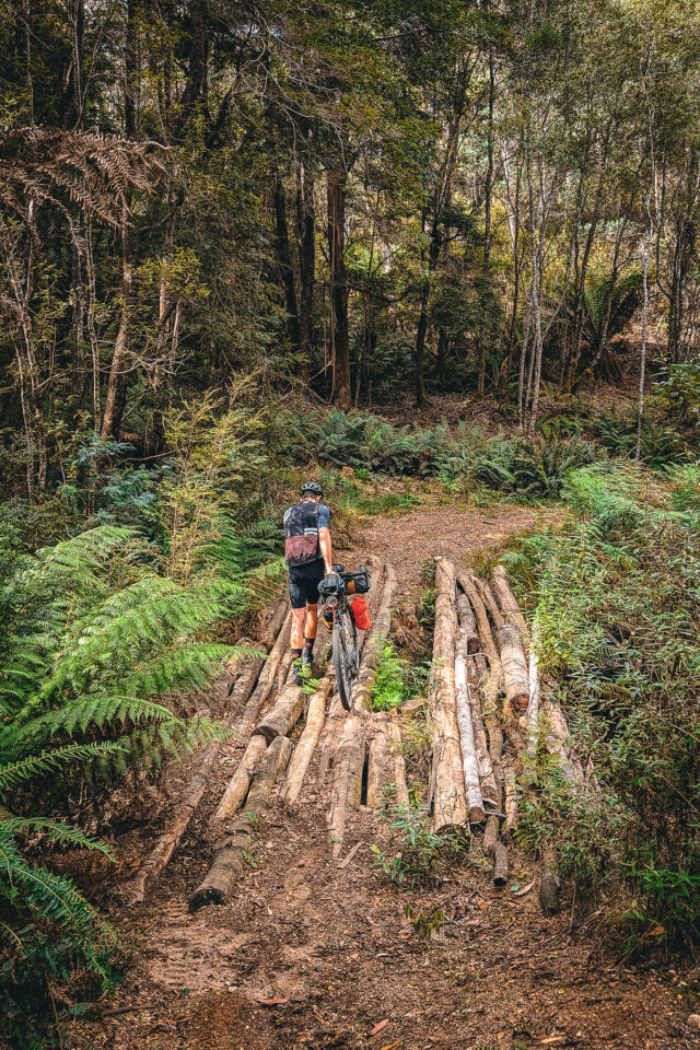 A Tasmanian Bikepacking Memoir