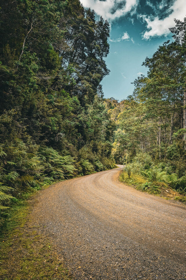 A Tasmanian Bikepacking Memoir