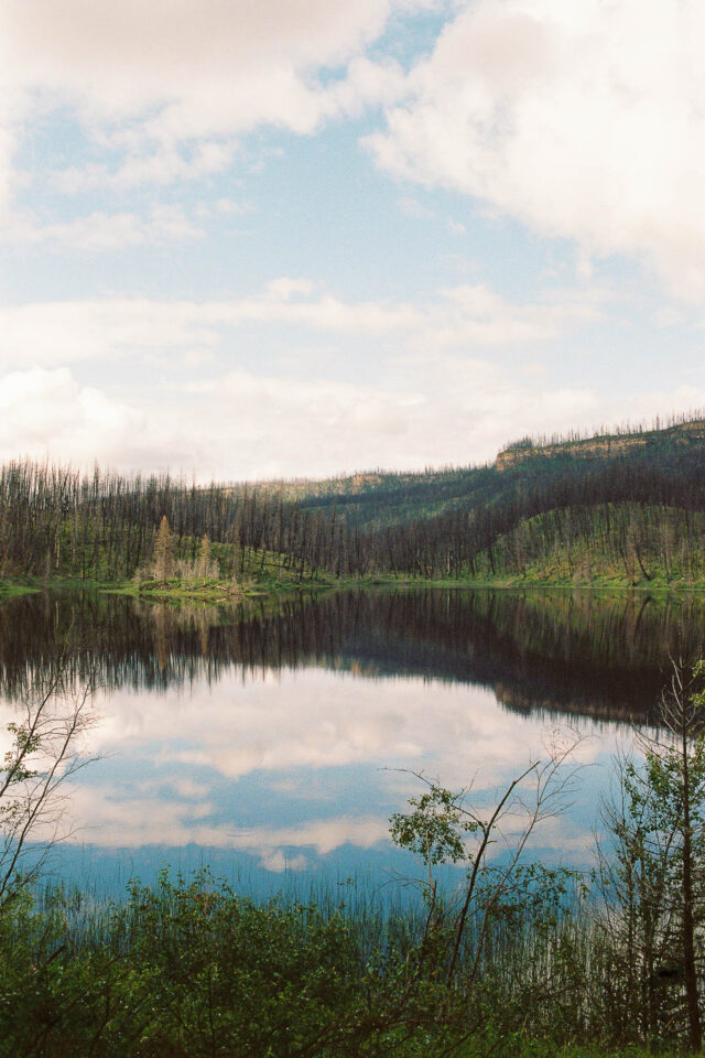 Lac Du Bois Tranquility