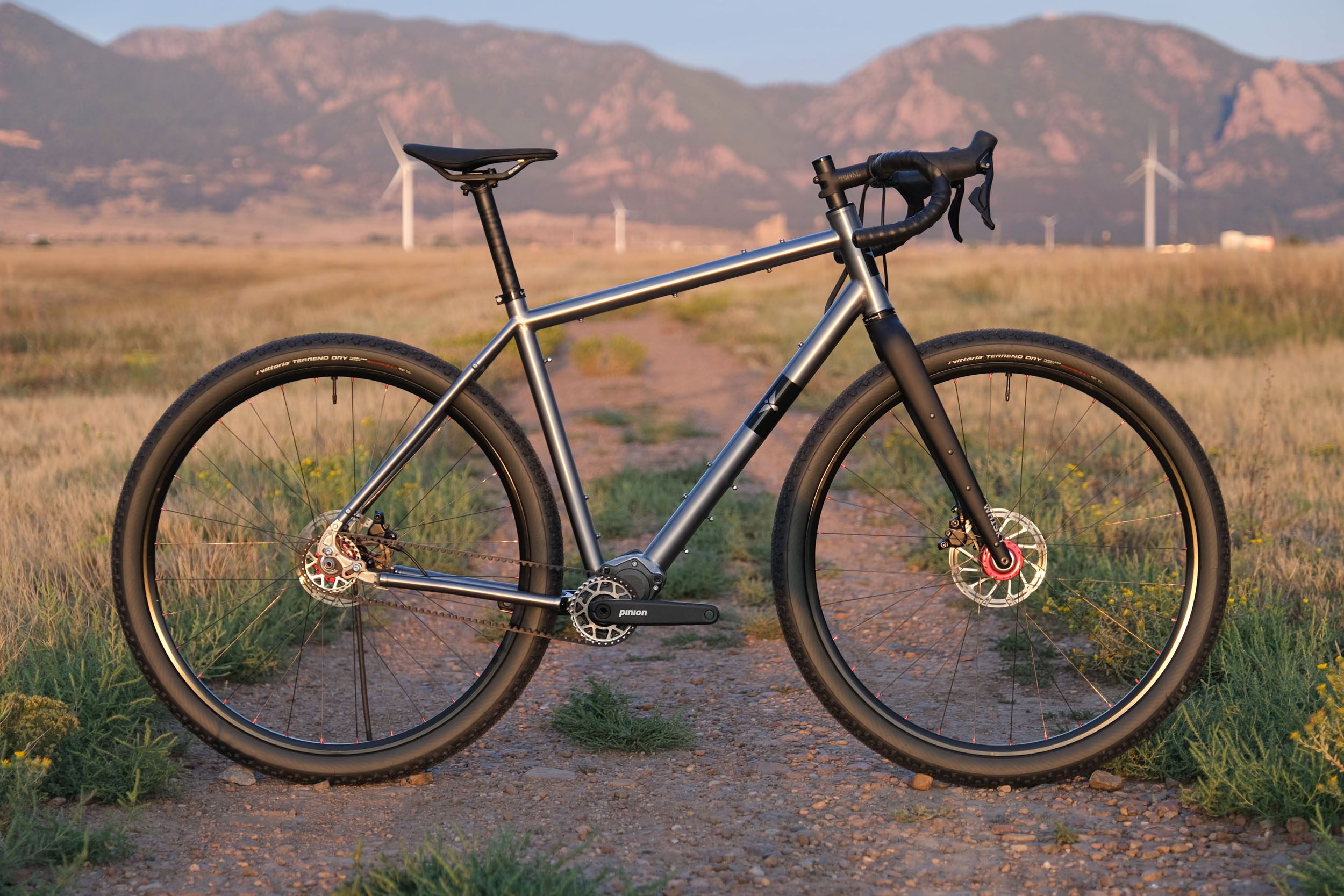 Corvid Curiosity - BIKEPACKING.com