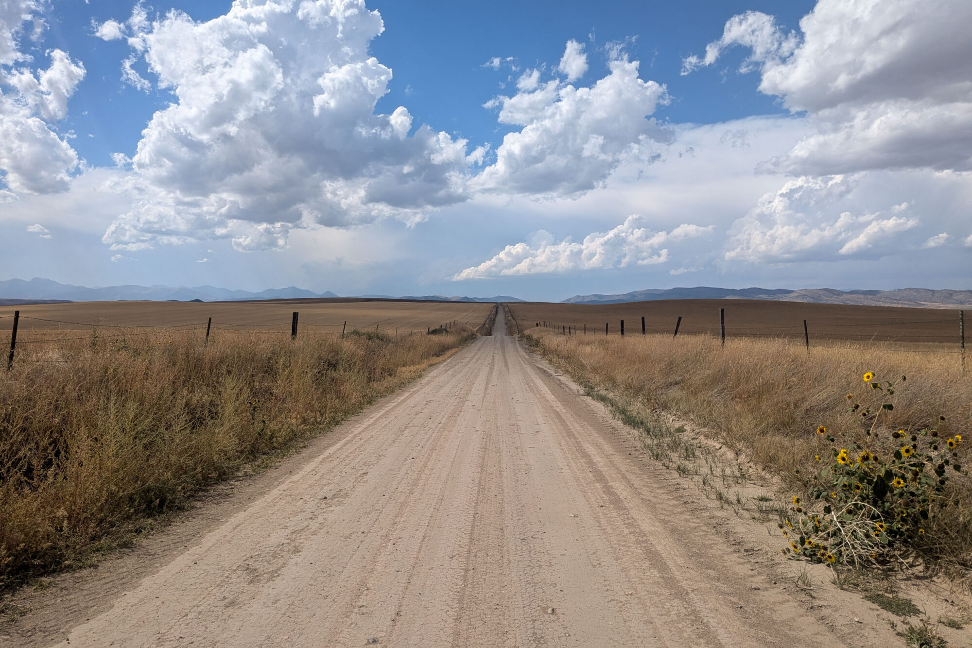 Montana Bike Odyssey