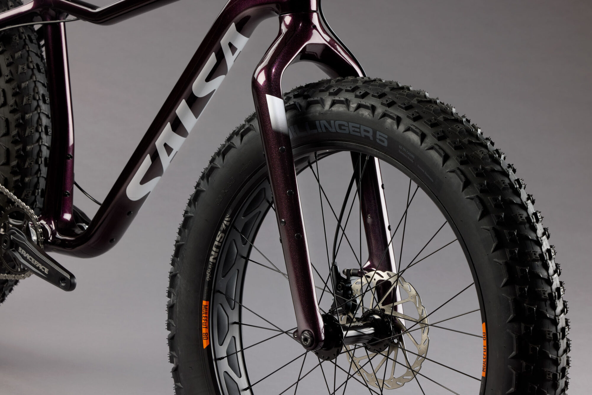 2025 Salsa Fat Bikes