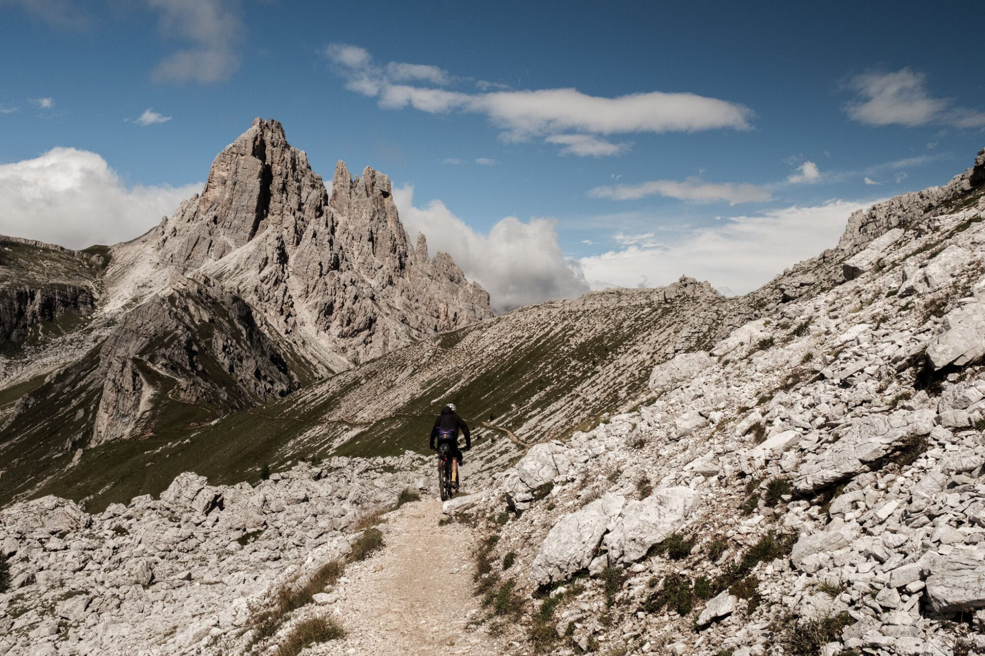 sneak peaks 2024 update