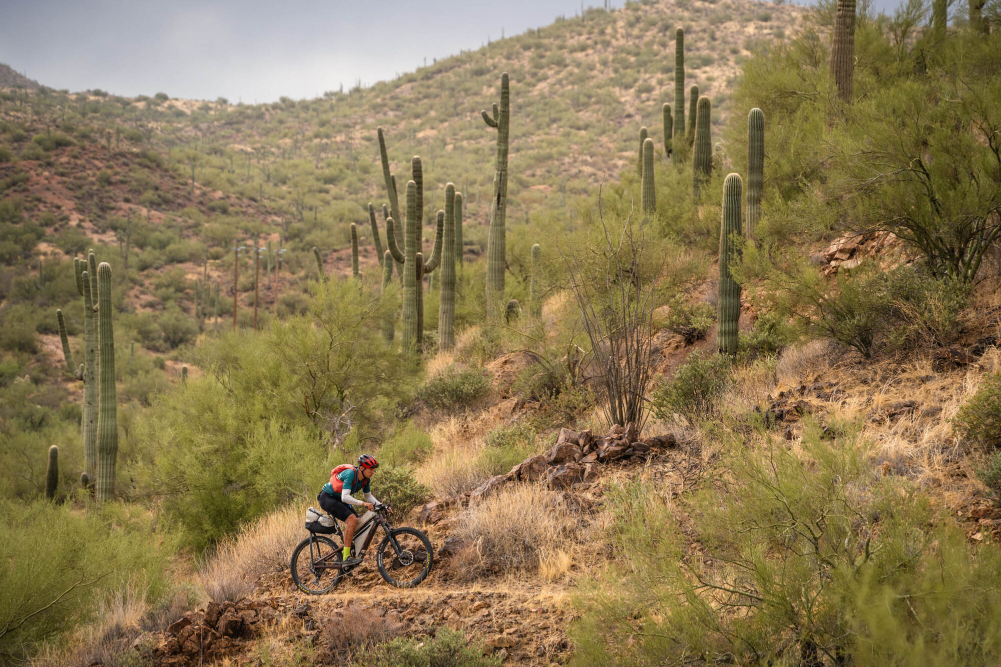 2024 Arizona Trail Race 300
