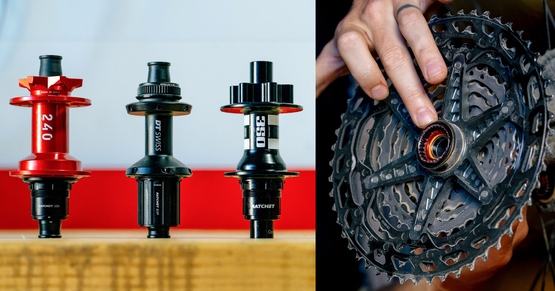 DT Swiss hubs Guide + DT Swiss 54T ratchet upgrade - BIKEPACKING.com