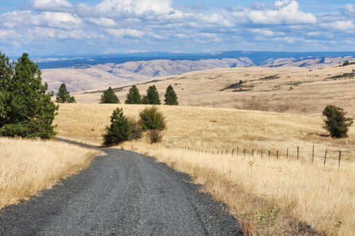 Southern Blues 600, SB600 Bikepacking Route